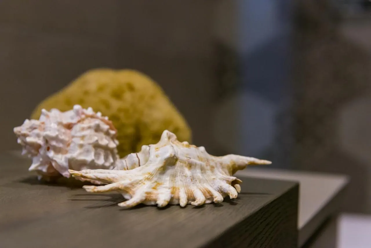 La Nassa Suites & Rooms Mazara del Vallo